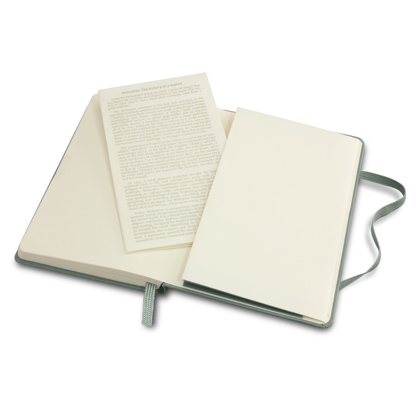 Moleskine Classic Hard Cover Notebook