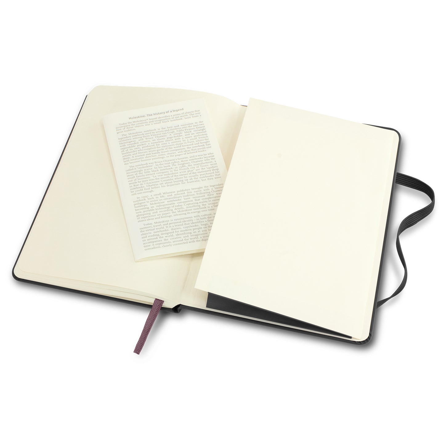 Moleskine Classic Hard Cover Notebook - A5 Large