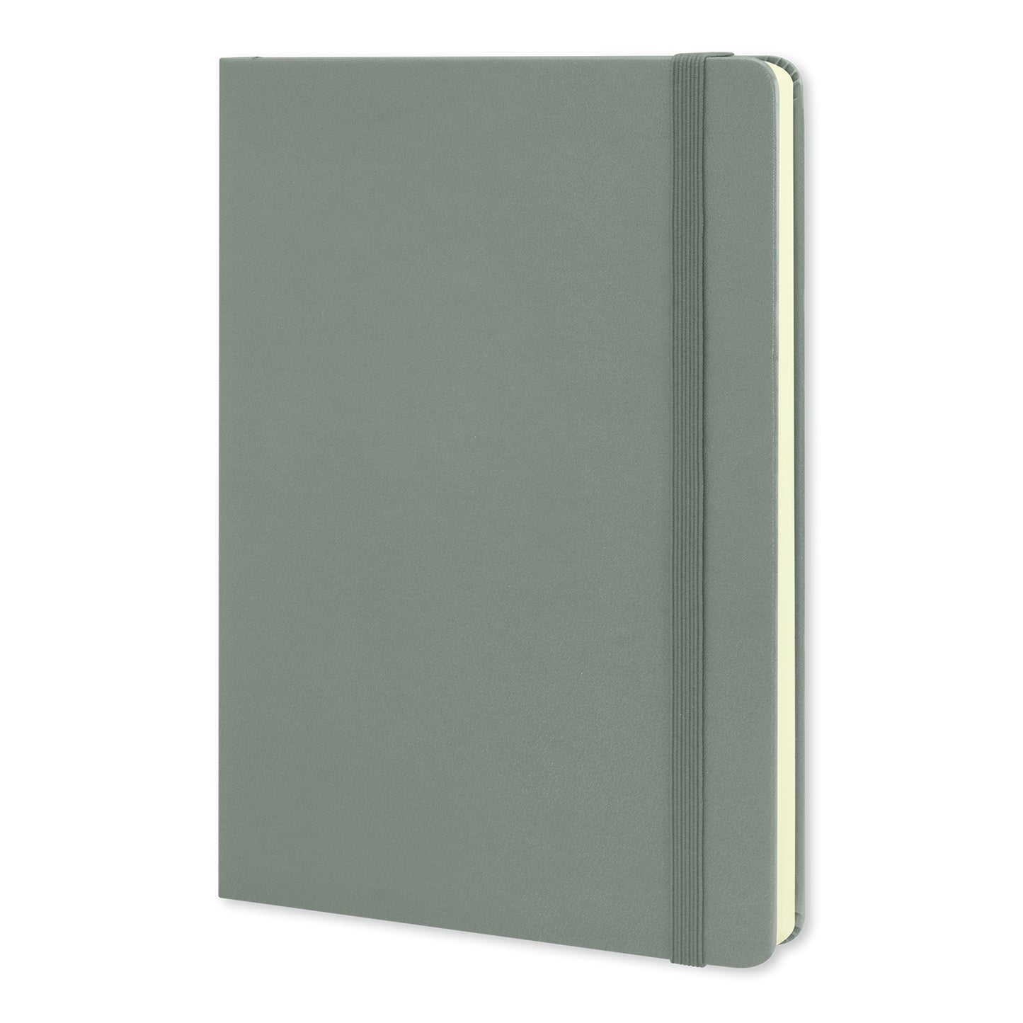 Moleskine Classic Hard Cover Notebook - A5 Large