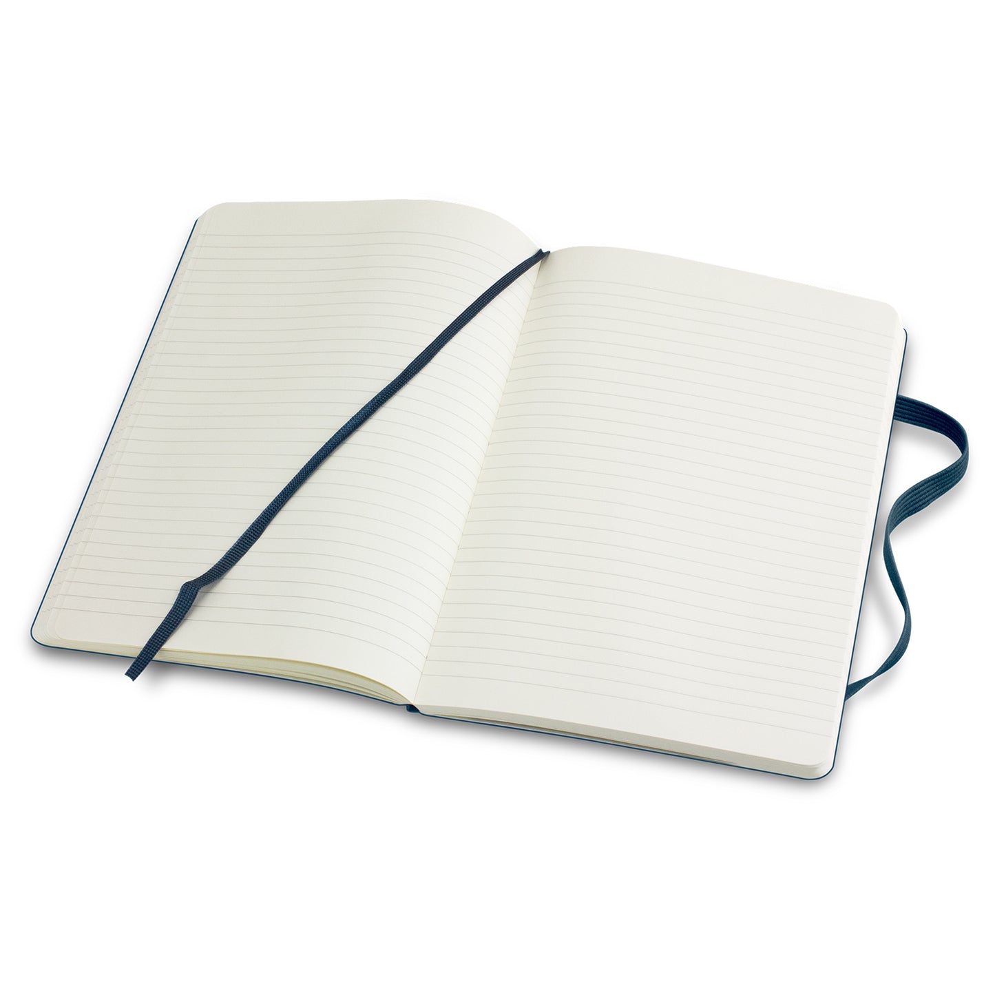 Moleskine Classic Soft Cover Notebook - Large