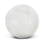 Volleyball Pro - Size 5