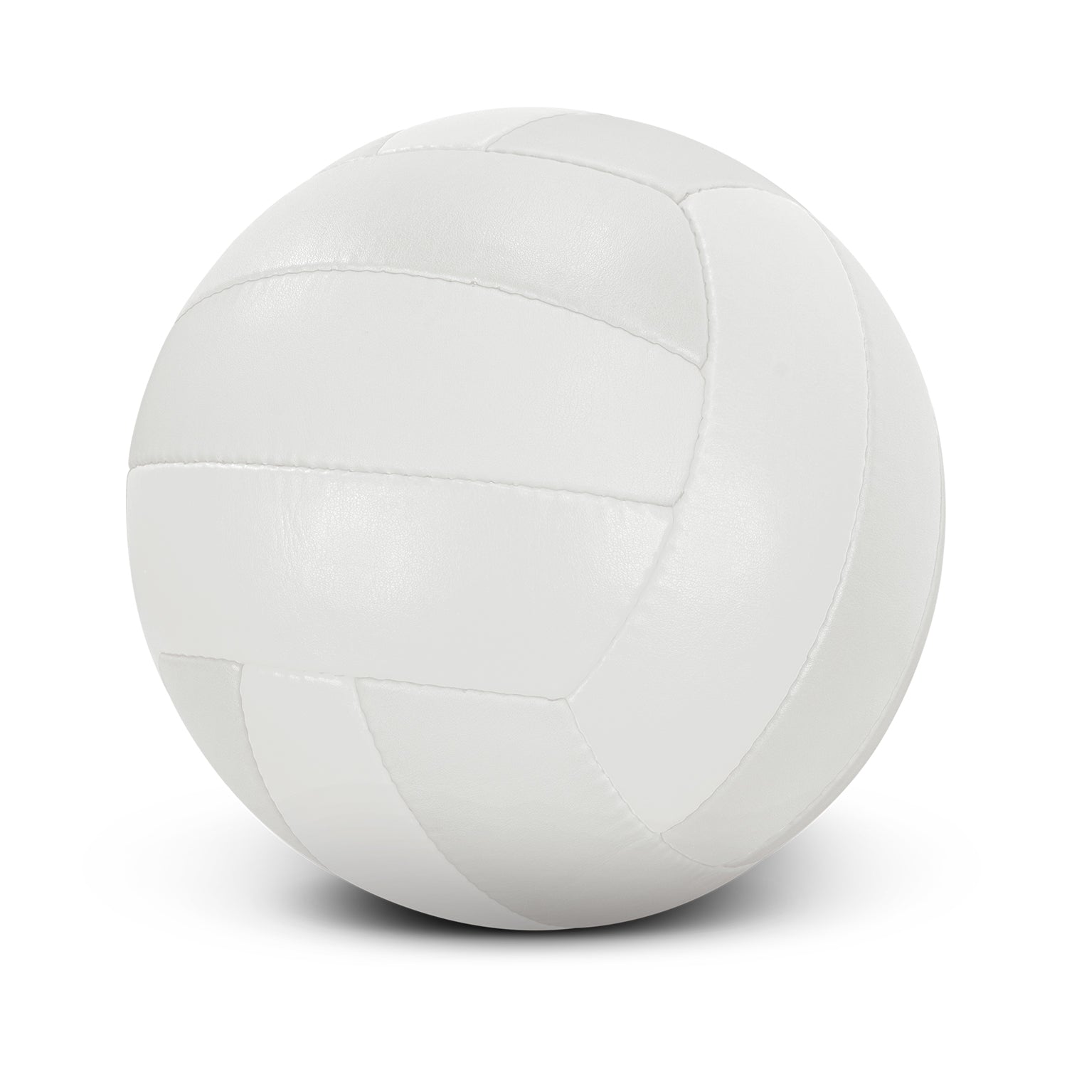 Volleyball Pro - Size 5