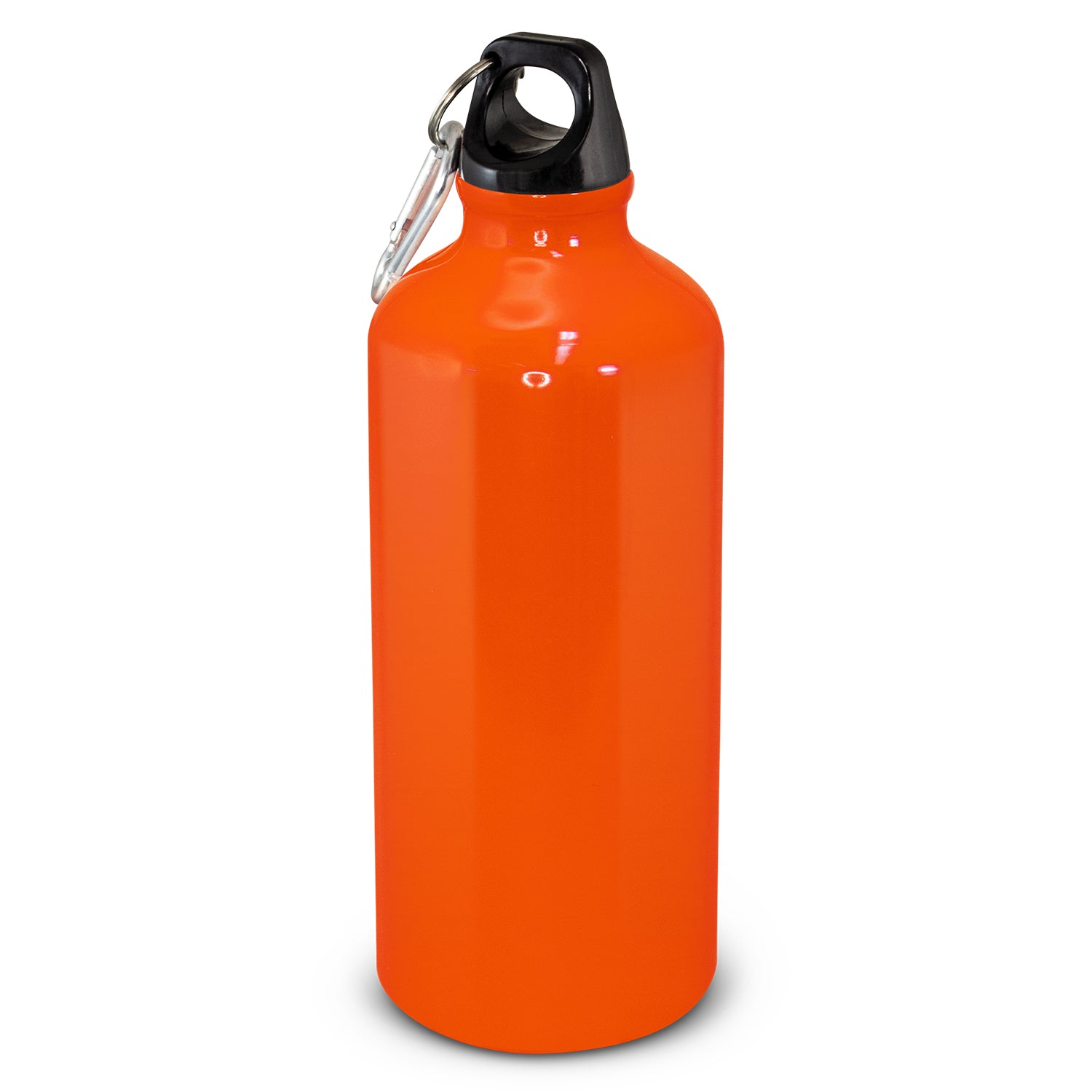 Intrepid Bottle 600ml
