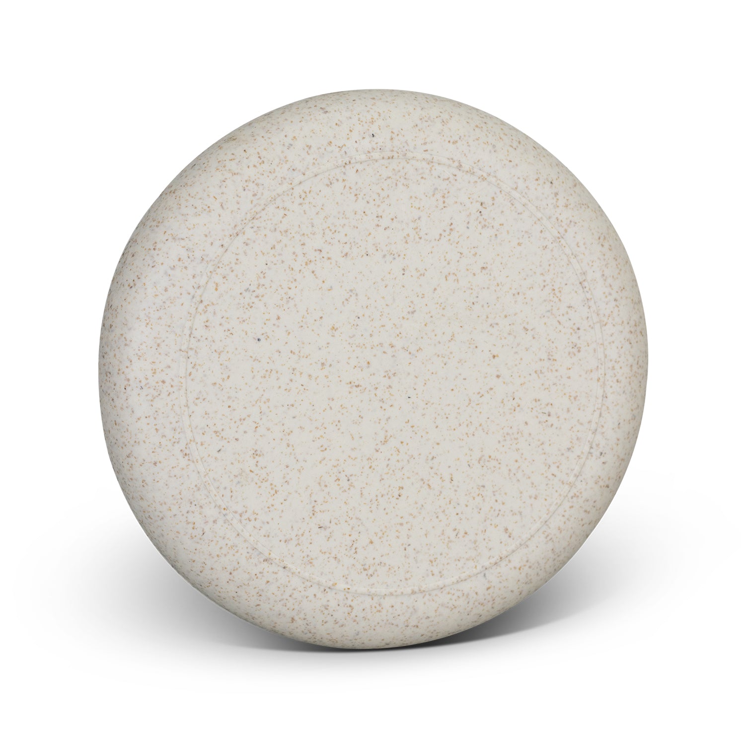 Choice Frisbee Flyer