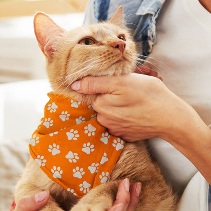 Pet Bandanas