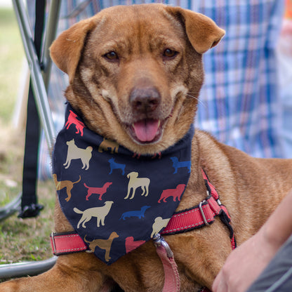 Pet Bandanas