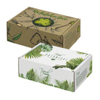 Die Cut Box with Locking Lid - Rectangle