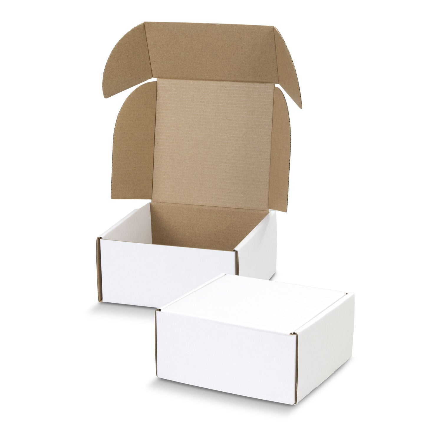Die Cut Box with Locking Lid - Rectangle