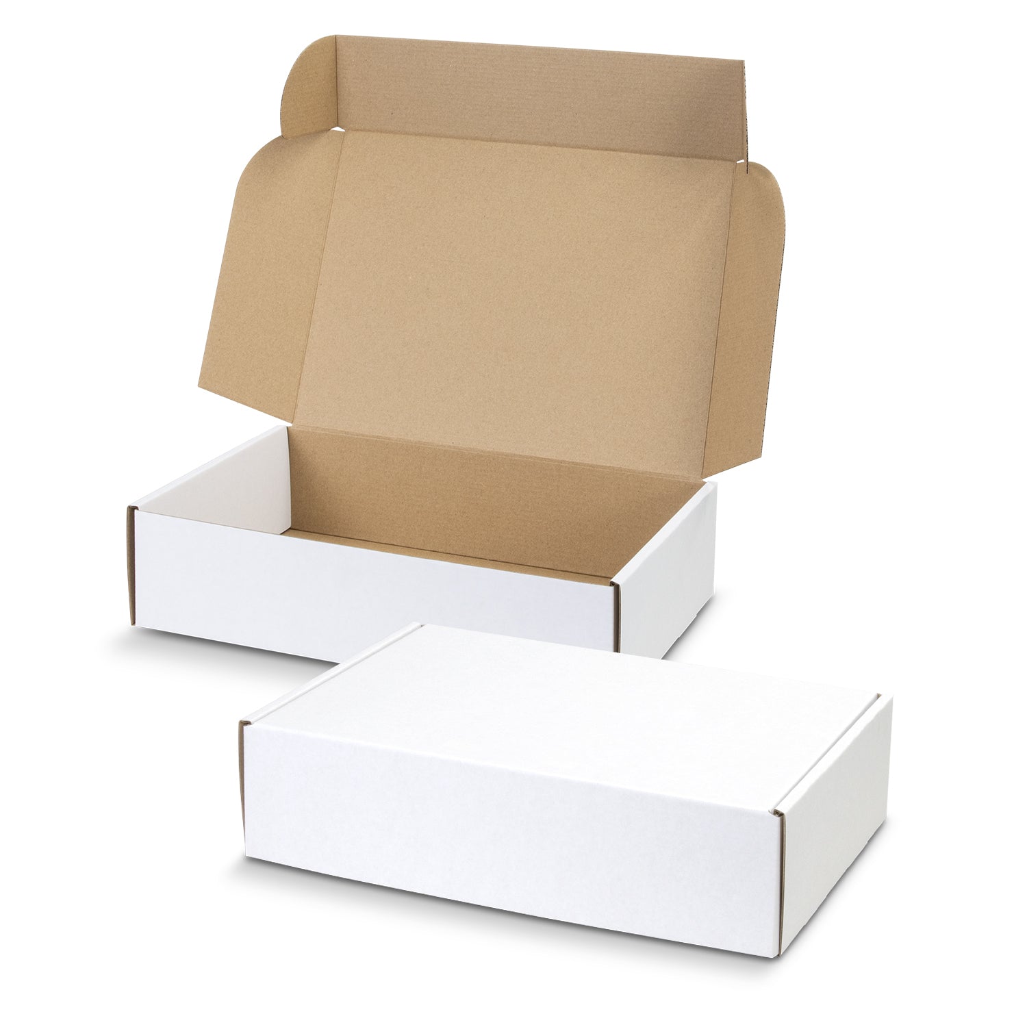 Die Cut Box with Locking Lid - Rectangle