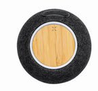 Cedric Speaker Charger