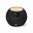 Cedric Speaker Charger