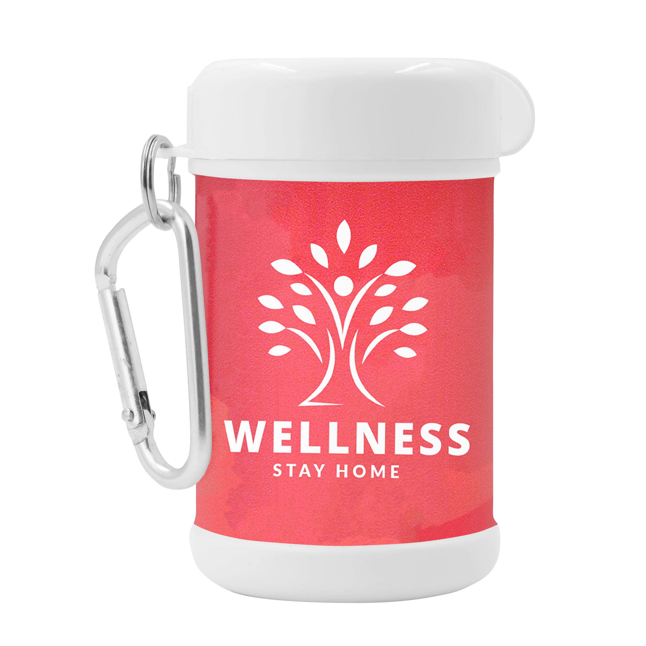 Antibacterial Wipes Canister