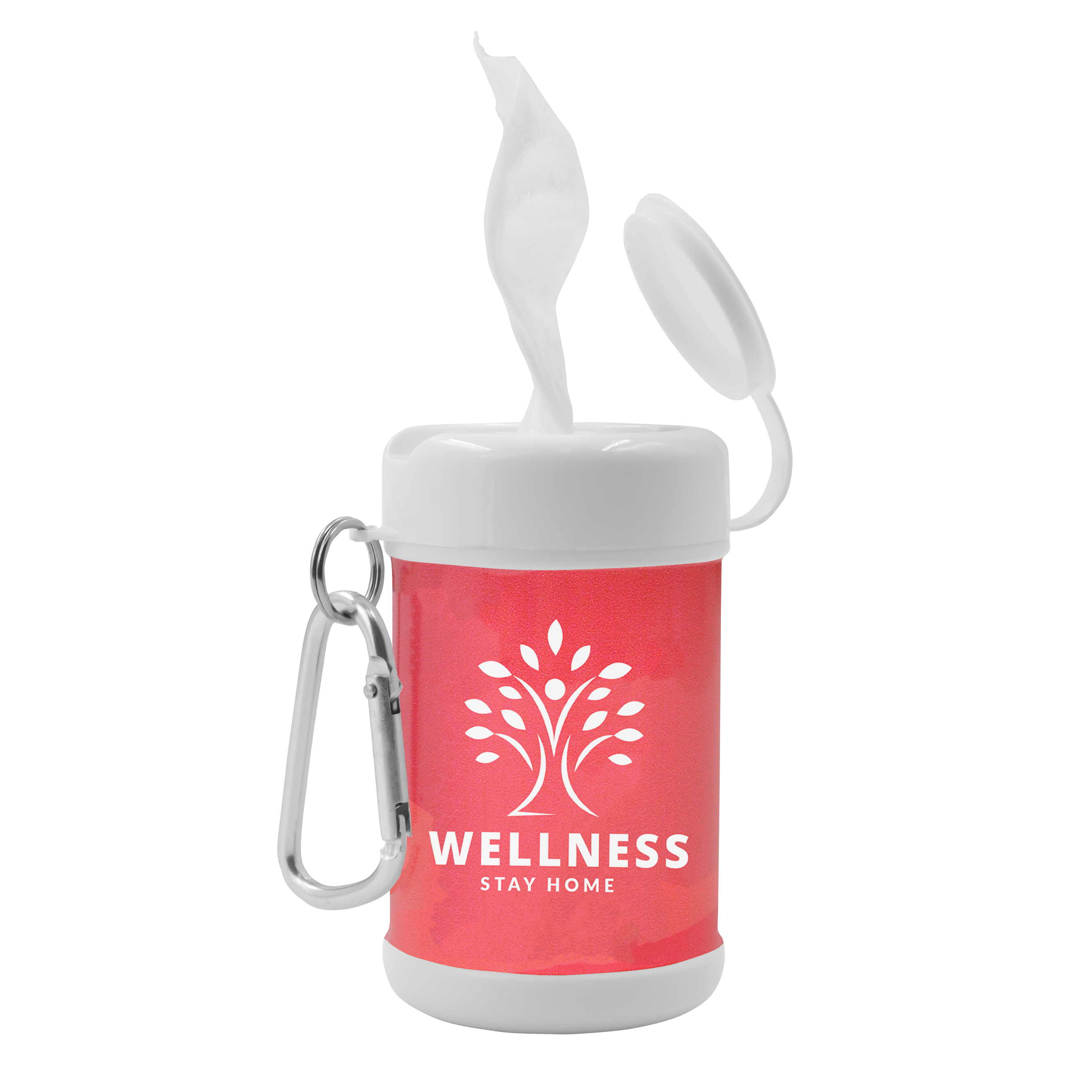 Antibacterial Wipes Canister