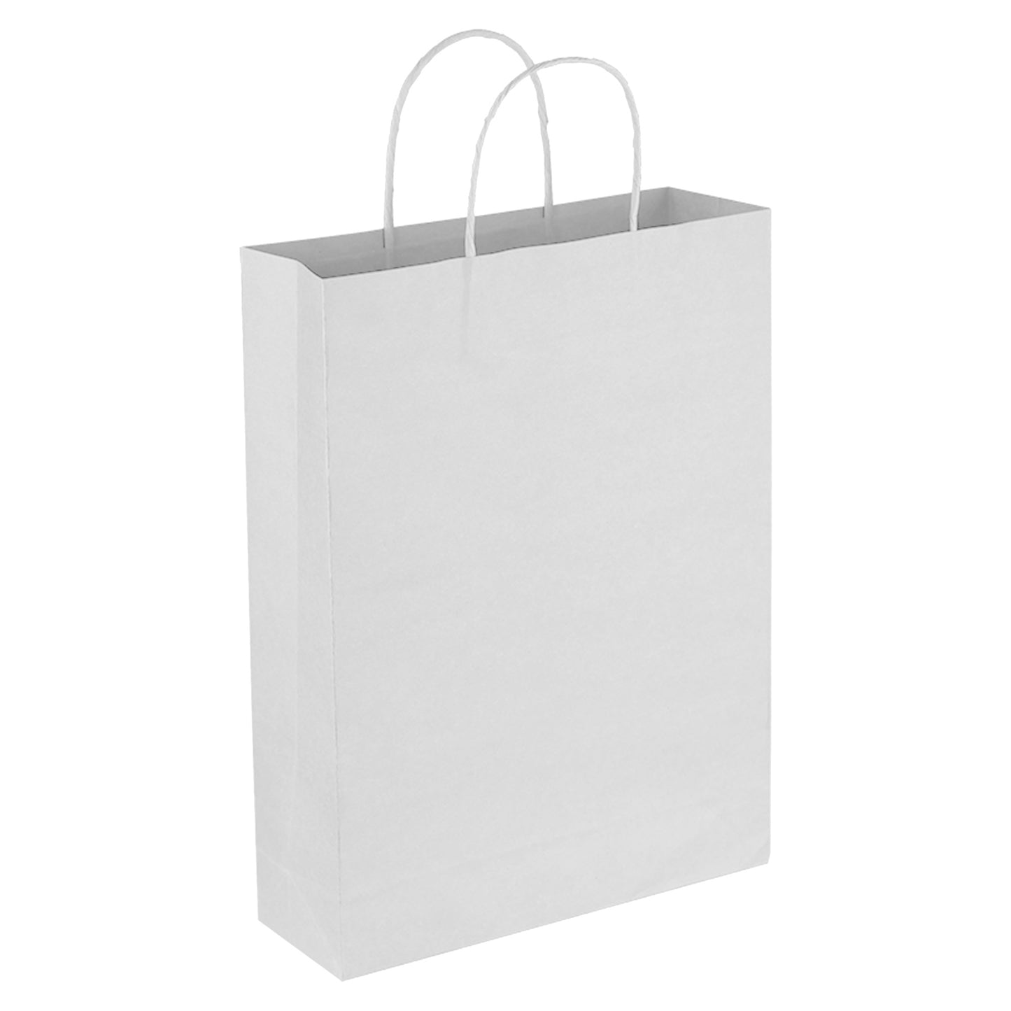 Paper Trade Show Bag